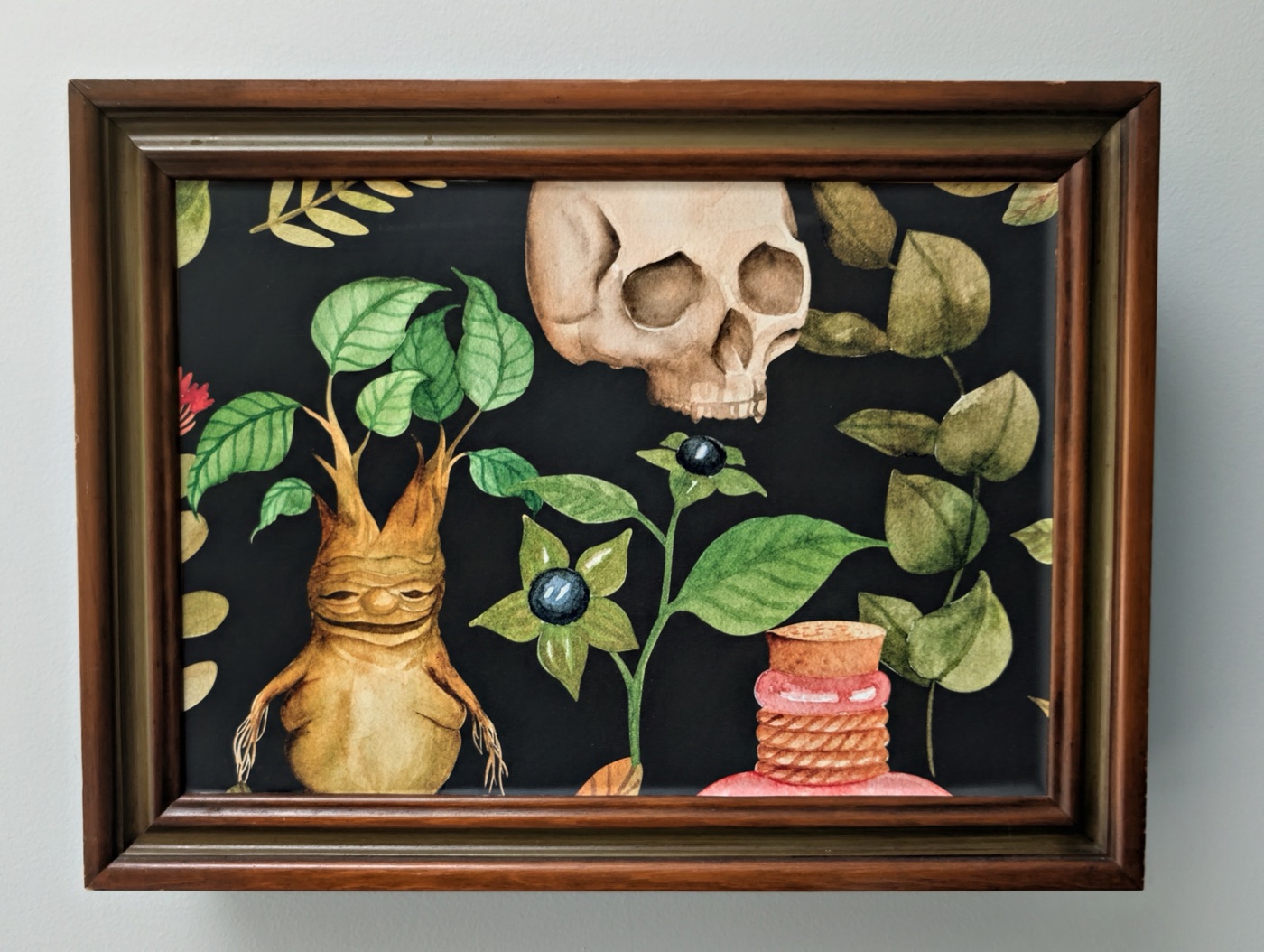 A framed botanical painting that is the door of a wall-mounted apothecary cabinet