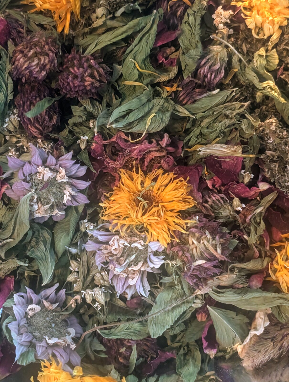 Connect with Nomadic Roots Herbal