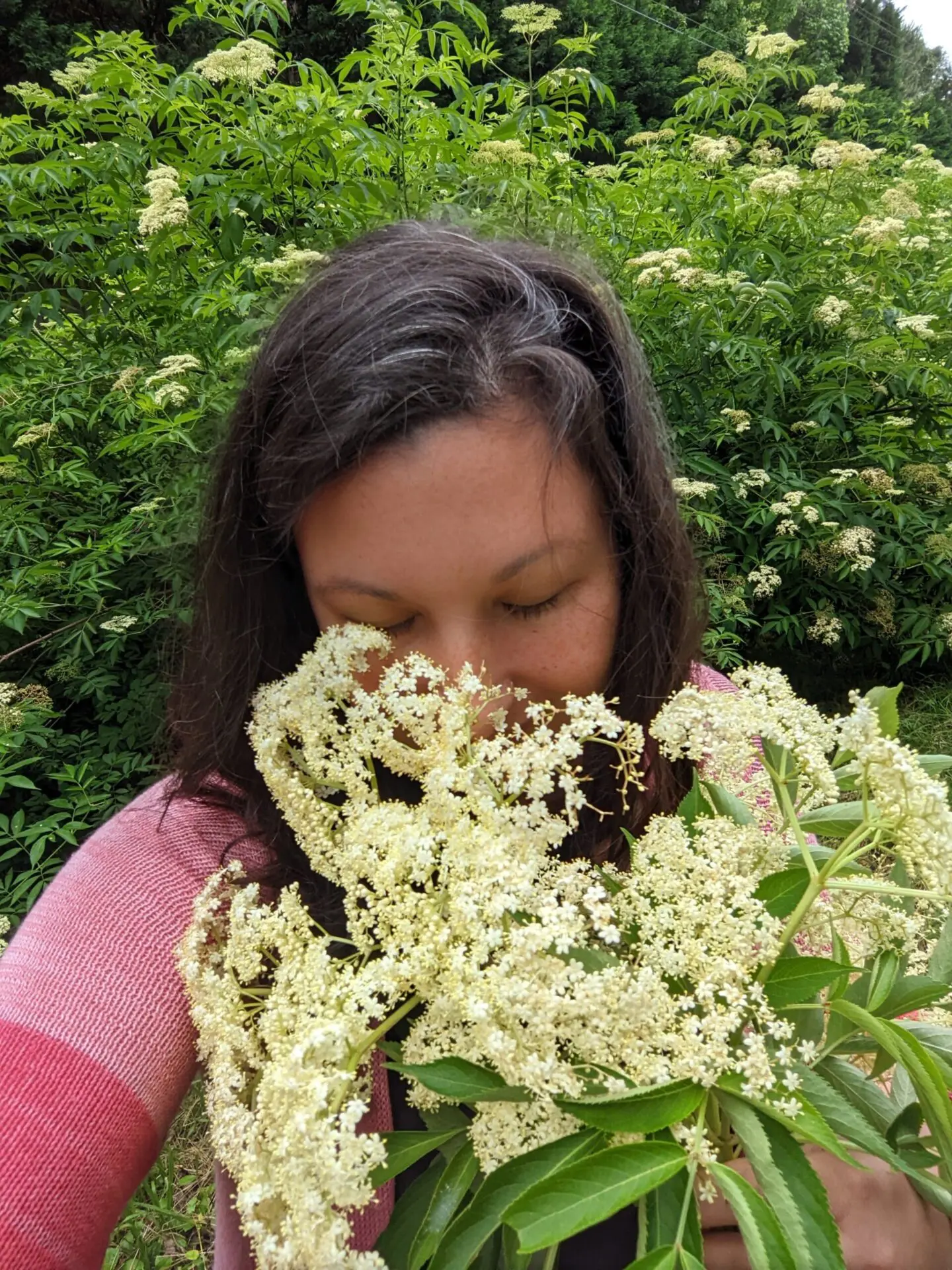 LeAnna - Your Herbalist