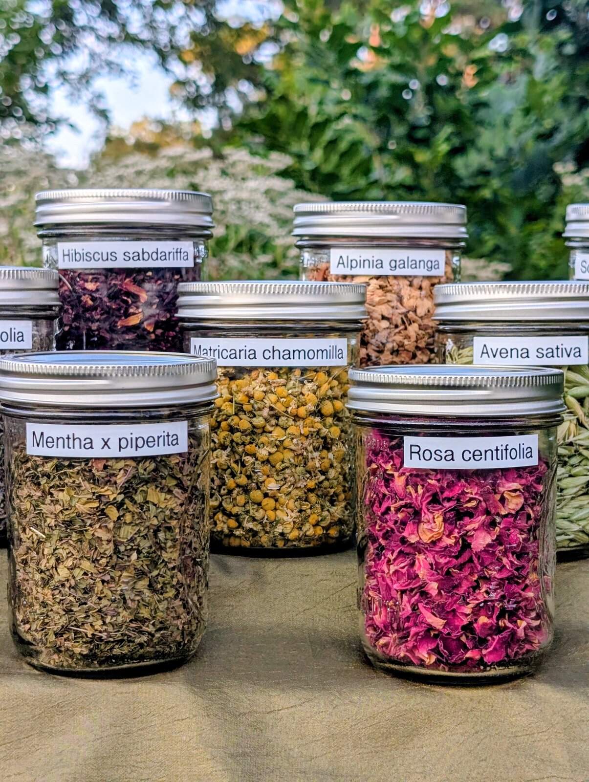 Traveling apothecary jars with various herbal medicines and remedies